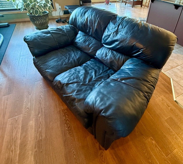Leather Sofa – Very Comfortable - photo 2