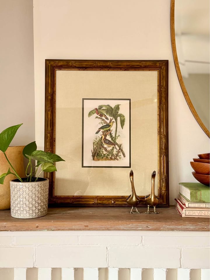 Vintage Framed Bird Print from 1835