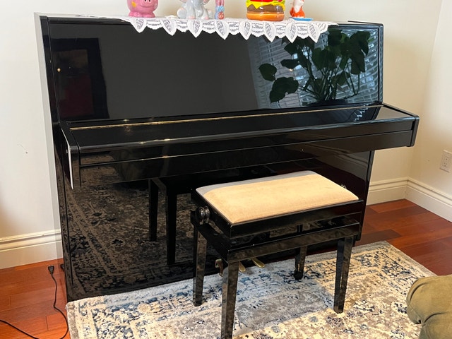 Hohner Piano - photo 2