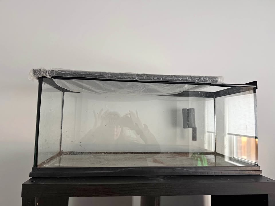 Reptile Terrarium (NOT Water-Tight)