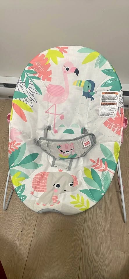 Baby bouncer
