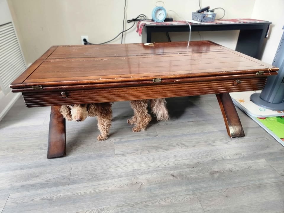 Expandable Coffee Table & 2 Side Tables - photo 5