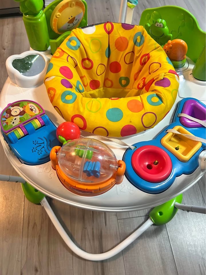 Baby Bouncer Jumper - Fisher Price