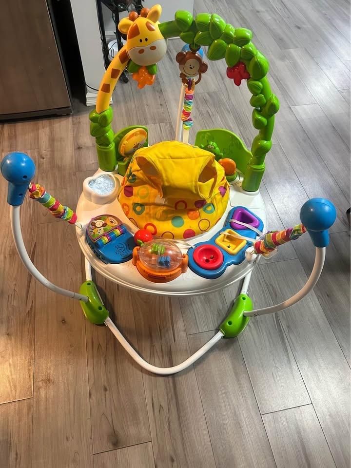 Baby Bouncer Jumper - Fisher Price - photo 3