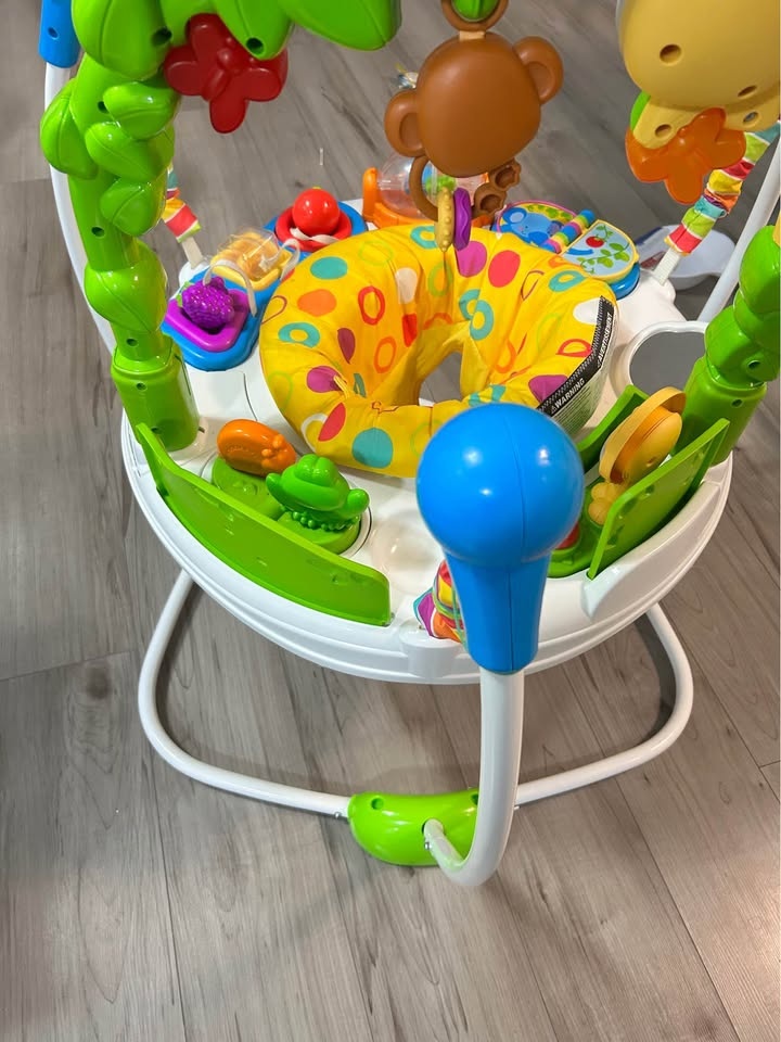 Baby Bouncer Jumper - Fisher Price - photo 4
