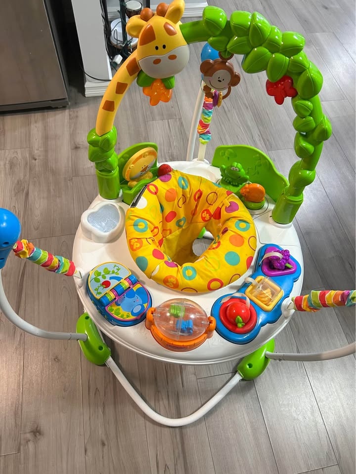 Baby Bouncer Jumper - Fisher Price - photo 5