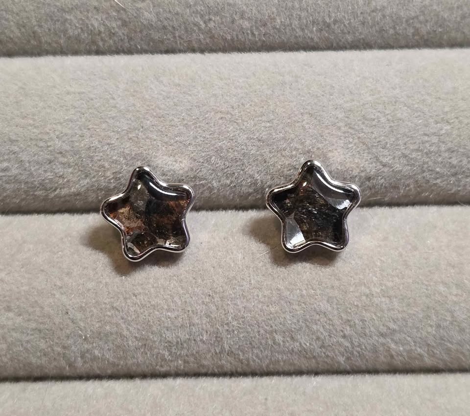 Pallasite Meteorite Star Stud Earrings - photo 2