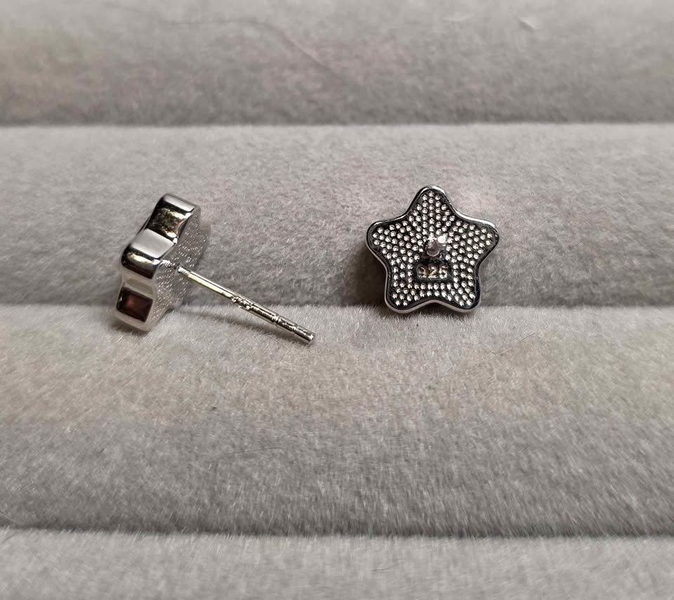 Pallasite Meteorite Star Stud Earrings - photo 4