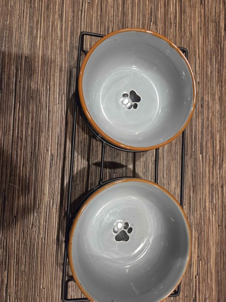 Ceramic Pet Bowls with Stand