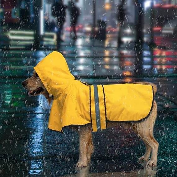 Dog Raincoat Large - photo 4