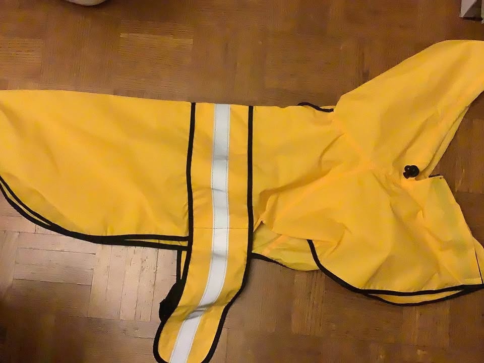 Dog Raincoat Large - photo 5