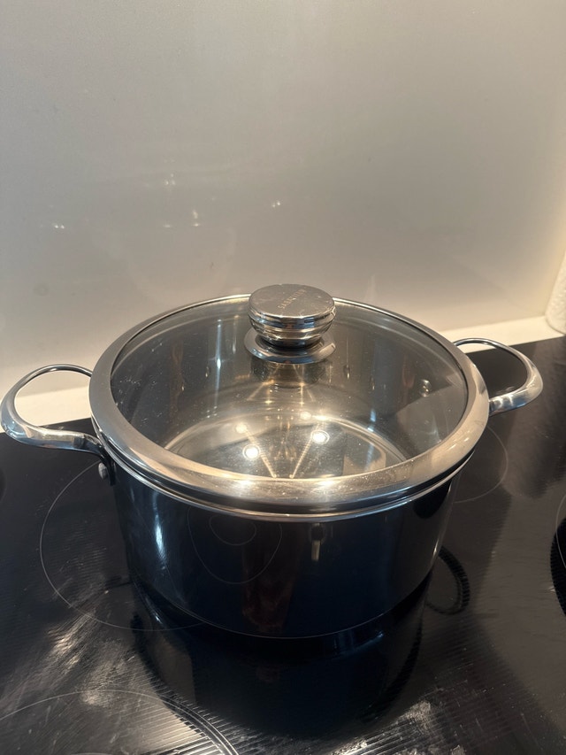 Sabatier Stainless Steel Pot