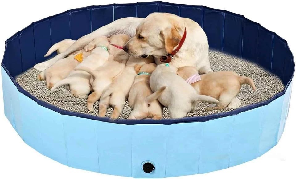 Dog Whelping Box, Foldable Pool (Blue)