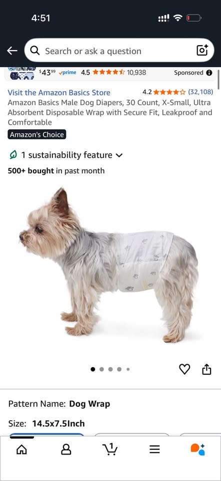 Male dog diaper XS