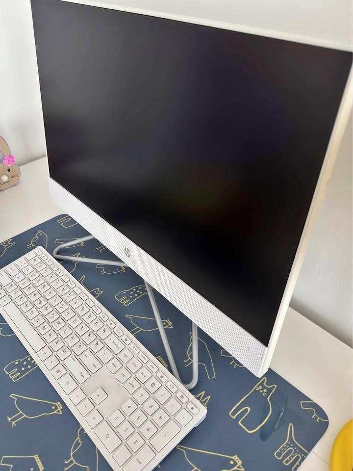 HP All-in-One PC