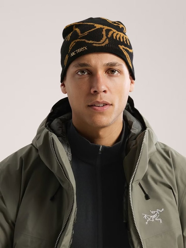 Arc'teryx Bird Head Toque / Beanie - photo 2