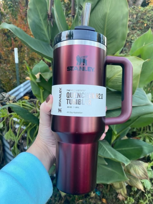 Stanley Tumbler/Quencher 40 Oz - Rosewood Glow - photo 4