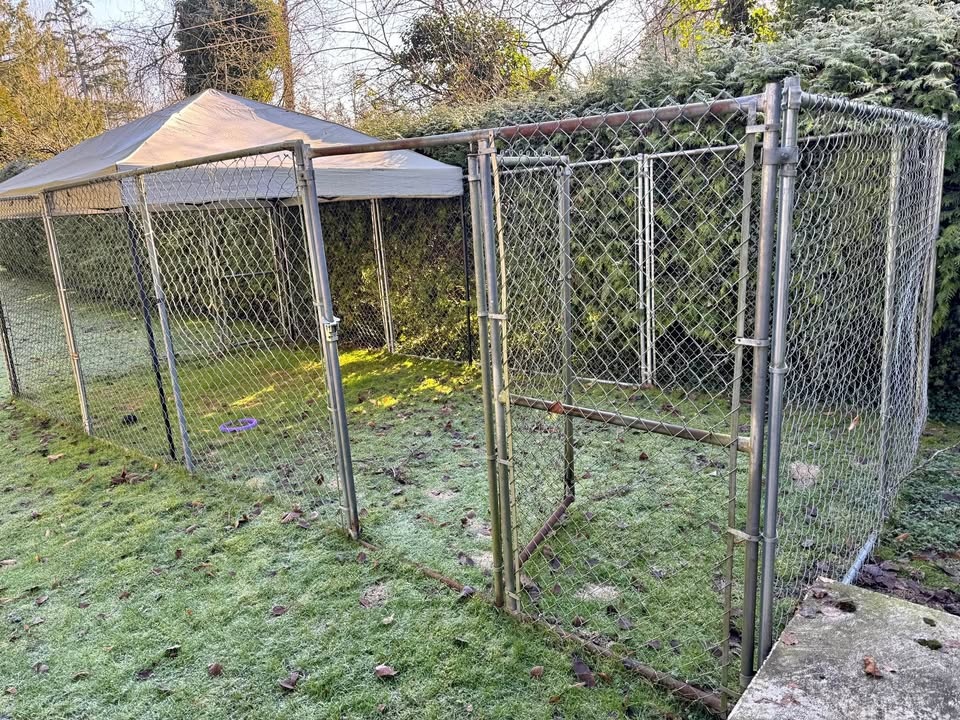 Chain Link Dog Run (22x10ft)