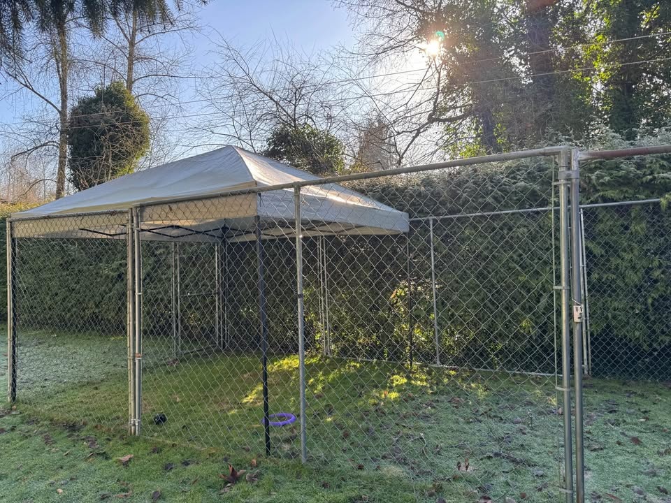 Chain Link Dog Run (22x10ft) - photo 2