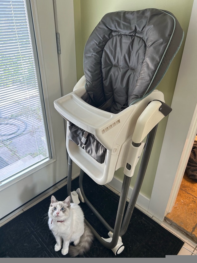 Foldable Graco High Chair with Removable Table