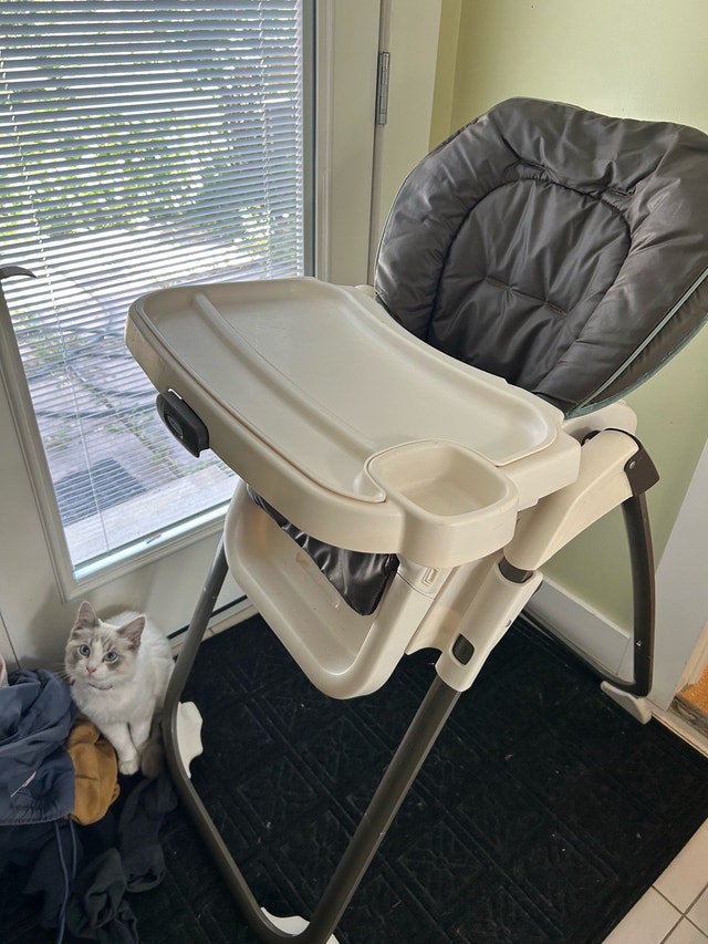 Foldable Graco High Chair with Removable Table - photo 2
