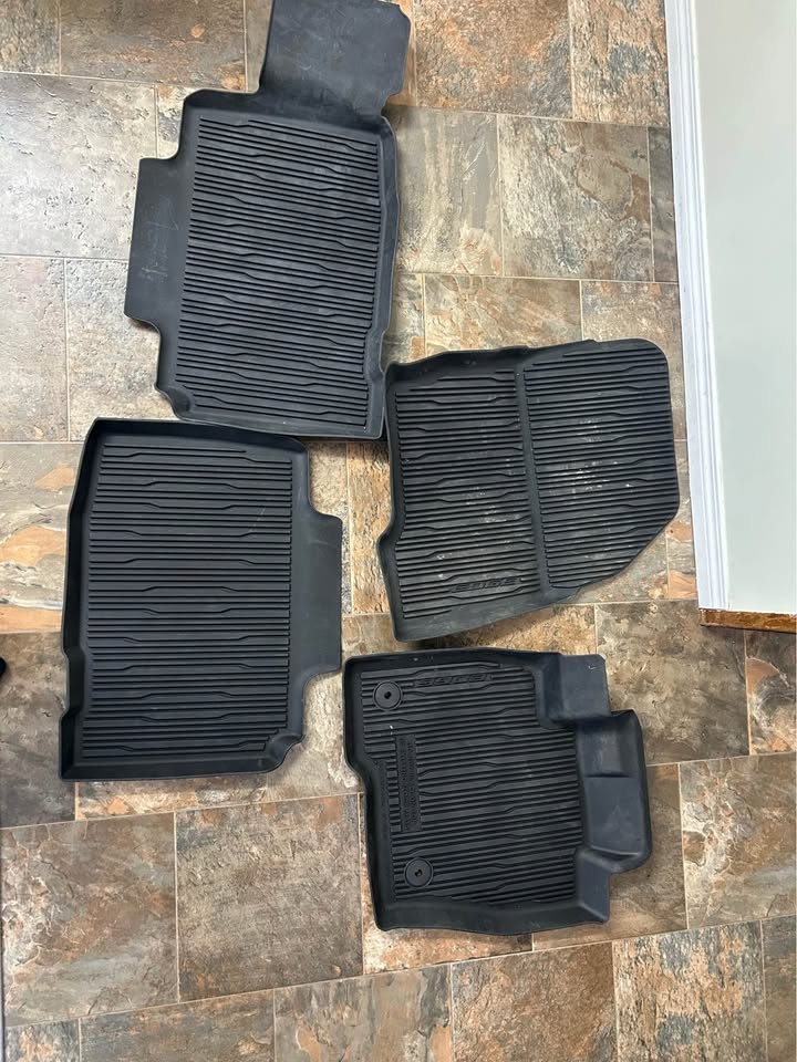 Ford Edge OEM All-Weather Floor Mats – 2007–2014 - photo 2