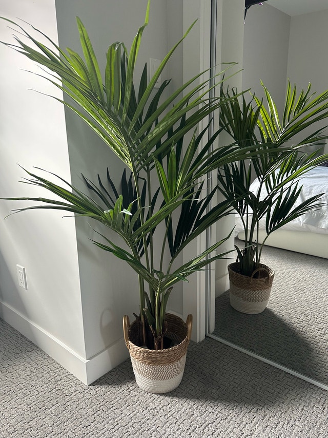 Artificial Kentia Palm Tree (48” height)