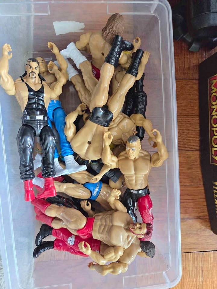 Wrestling Characters Toys