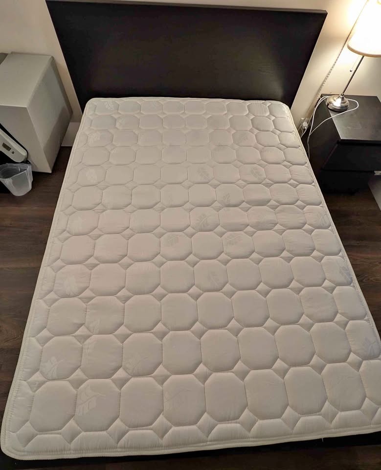 Zinus 8 inch Spring Mattress - Double
