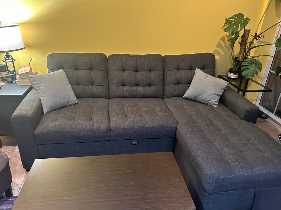Raymour and Flannagan Pull out sofa