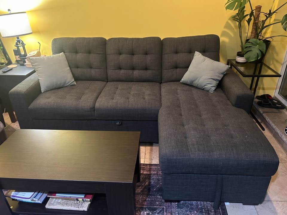 Raymour and Flannagan Pull out sofa - photo 2