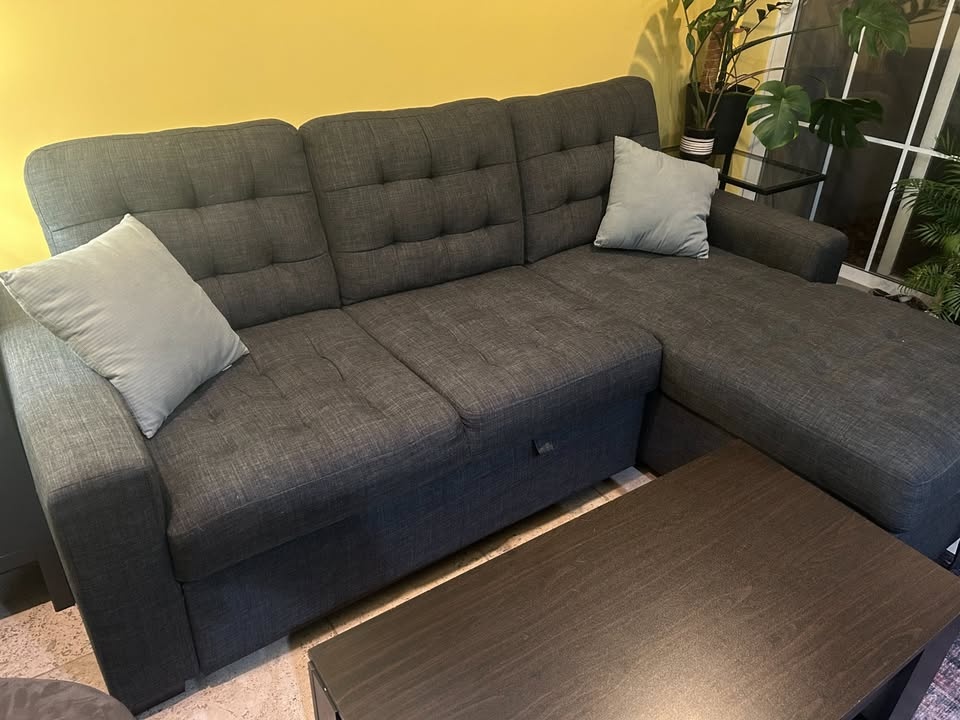 Raymour and Flannagan Pull out sofa - photo 3