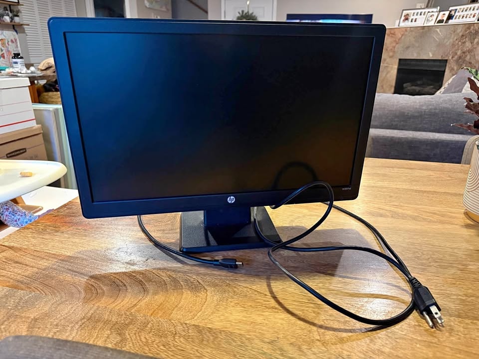 HP 20” Monitor and Cables