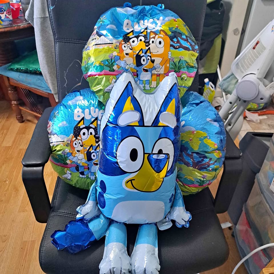 Bluey foil balloons o.b.o(scarborough)