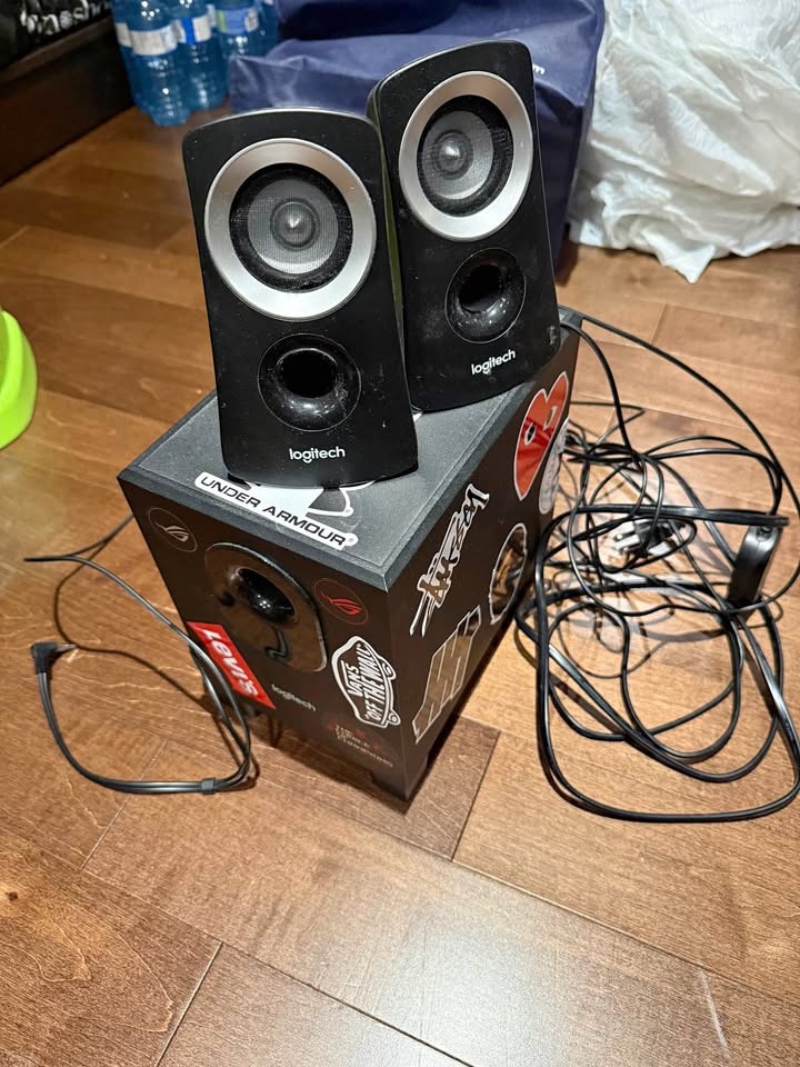 Logitech Z313 Speakers
