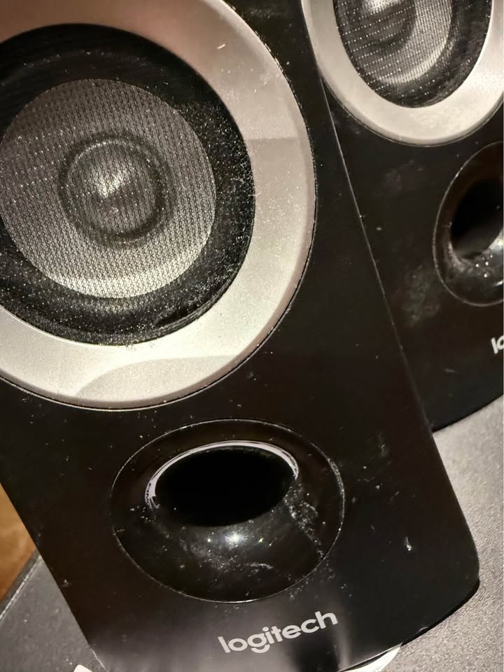 Logitech Z313 Speakers - photo 2