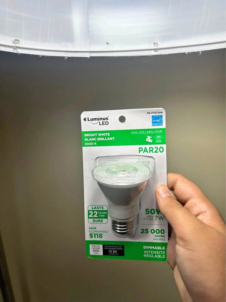 Bright White Light Bulb