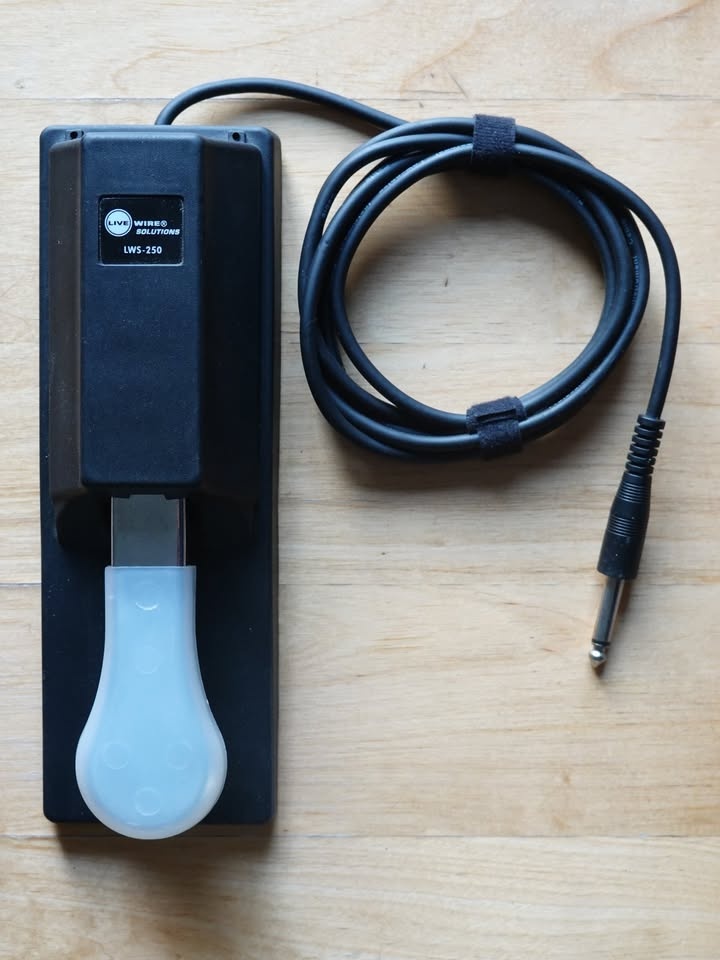 Keyboard Sustain Pedal (1/4” TS connector) - photo 2