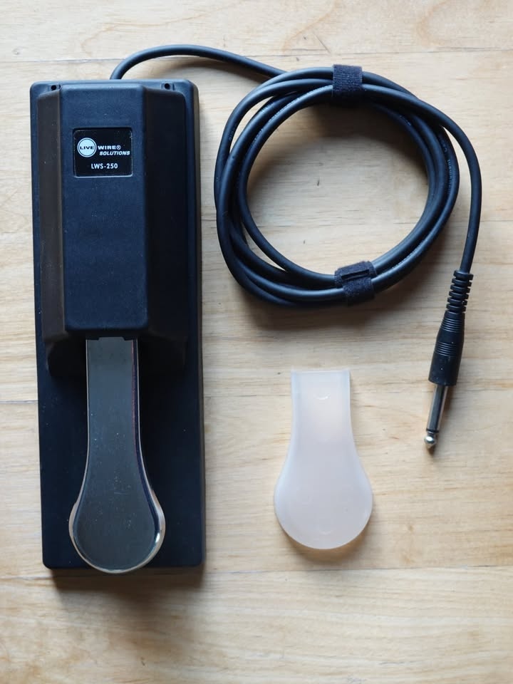 Keyboard Sustain Pedal (1/4” TS connector) - photo 3