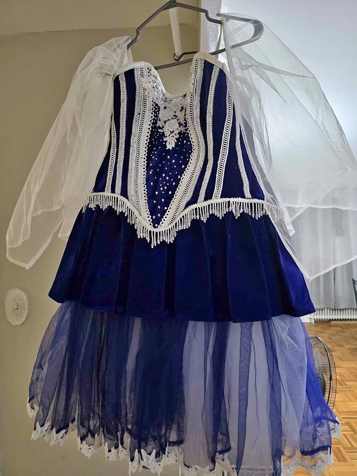 Dark Blue Plus Size Corset Dress