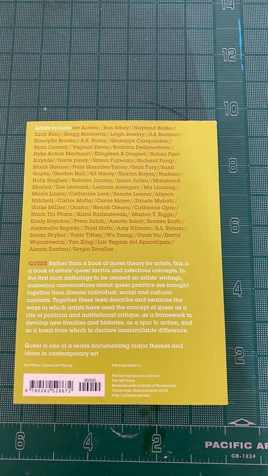 RARE/NEW Book - Queer: Documents of Contemporary ArT image indicator(2)