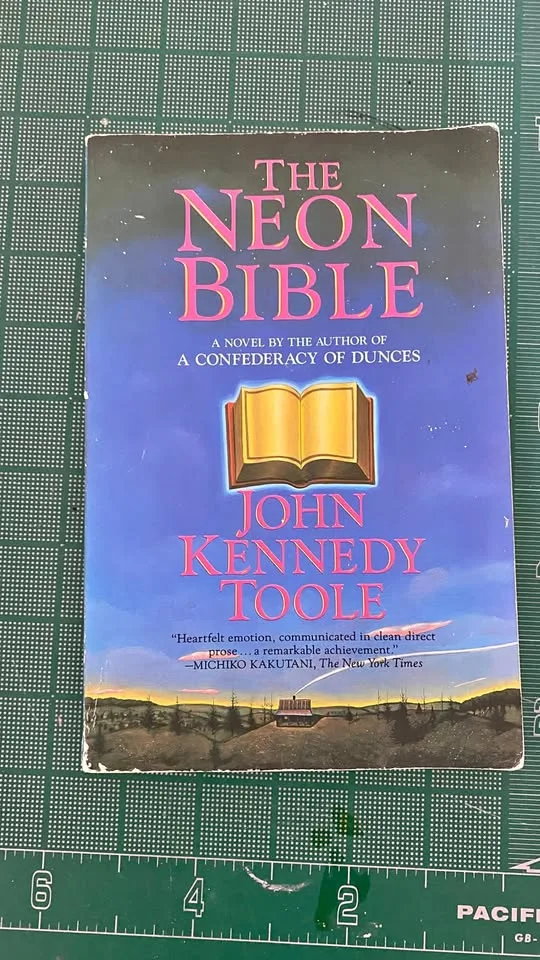 The Neon Bible Novel thumbnail