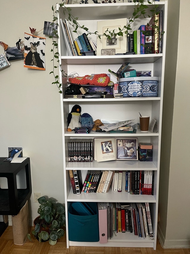 Large white Ikea bookshelf