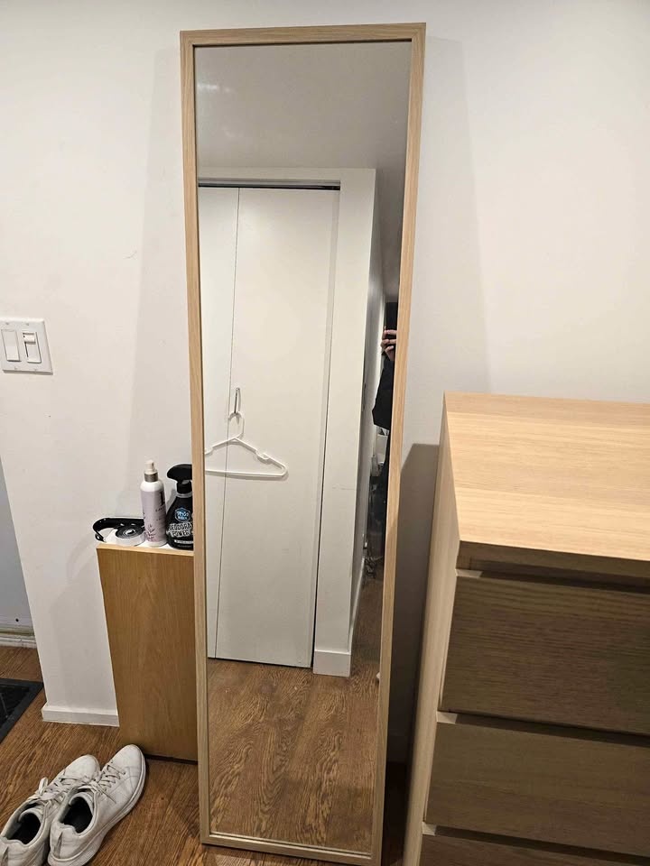 Ikea Stave Mirror 15.75" x 63"