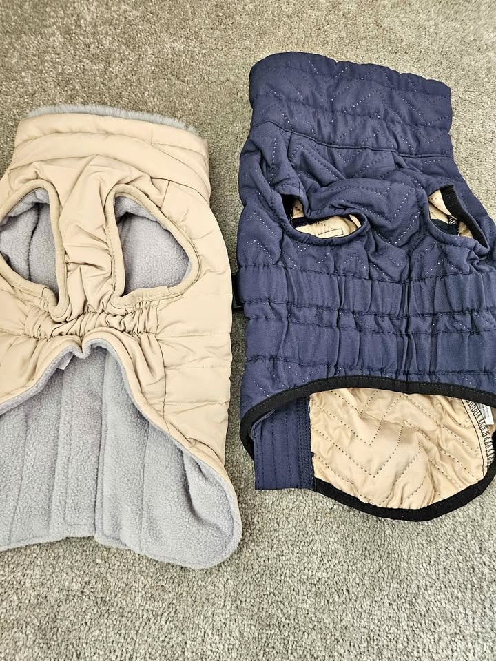 Dog Dress Pet Dress