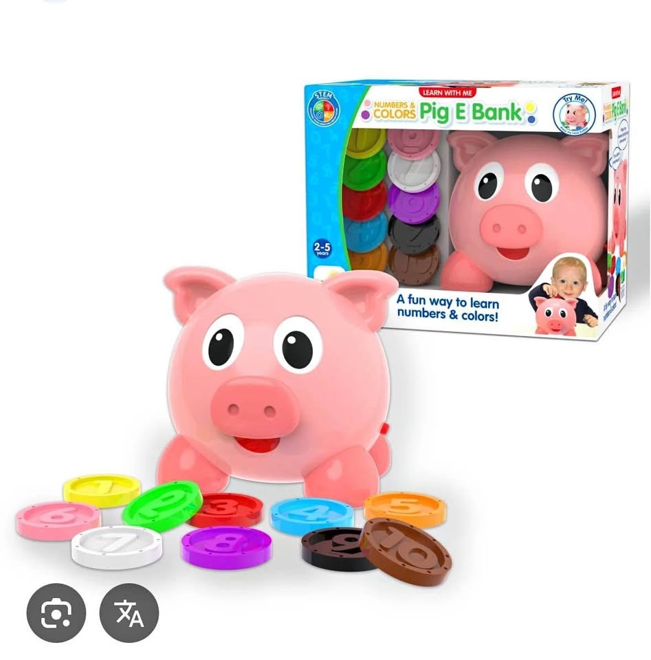 Counting Piggy Bank