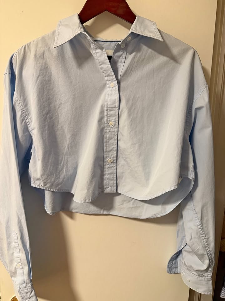 Aritzia Sunday Best Cropped Button Down