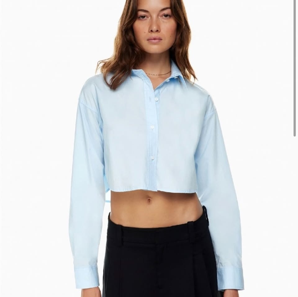Aritzia Sunday Best Cropped Button Down - photo 3