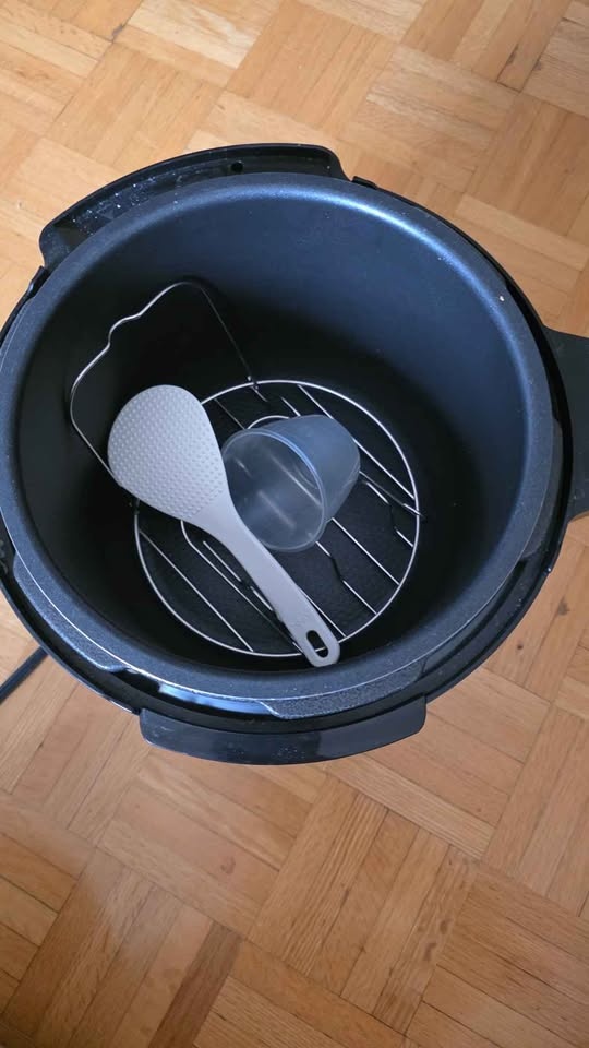 Hamilton Beach Pleasure Cooker - photo 3
