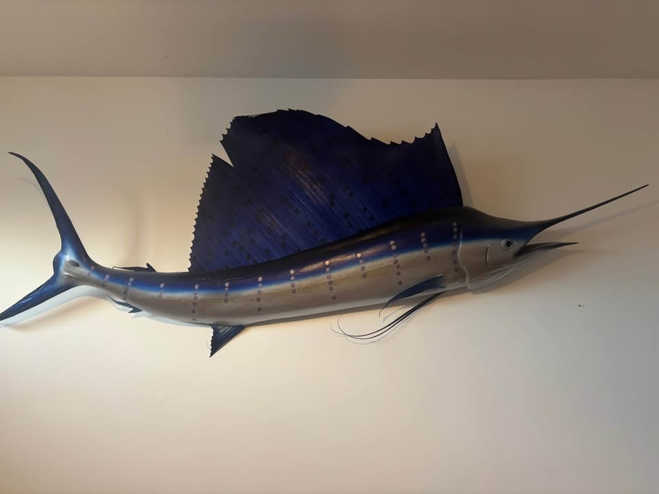 Oversized Sailfish Wall Mount – 8 Ft Fiberglass Replica - photo 2